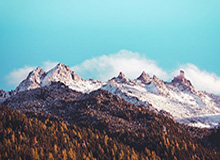 开云体育APP：开启你的专业体育观赛与赛事参与新纪元