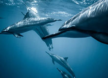 华体会hth登录——畅享极致体育体验